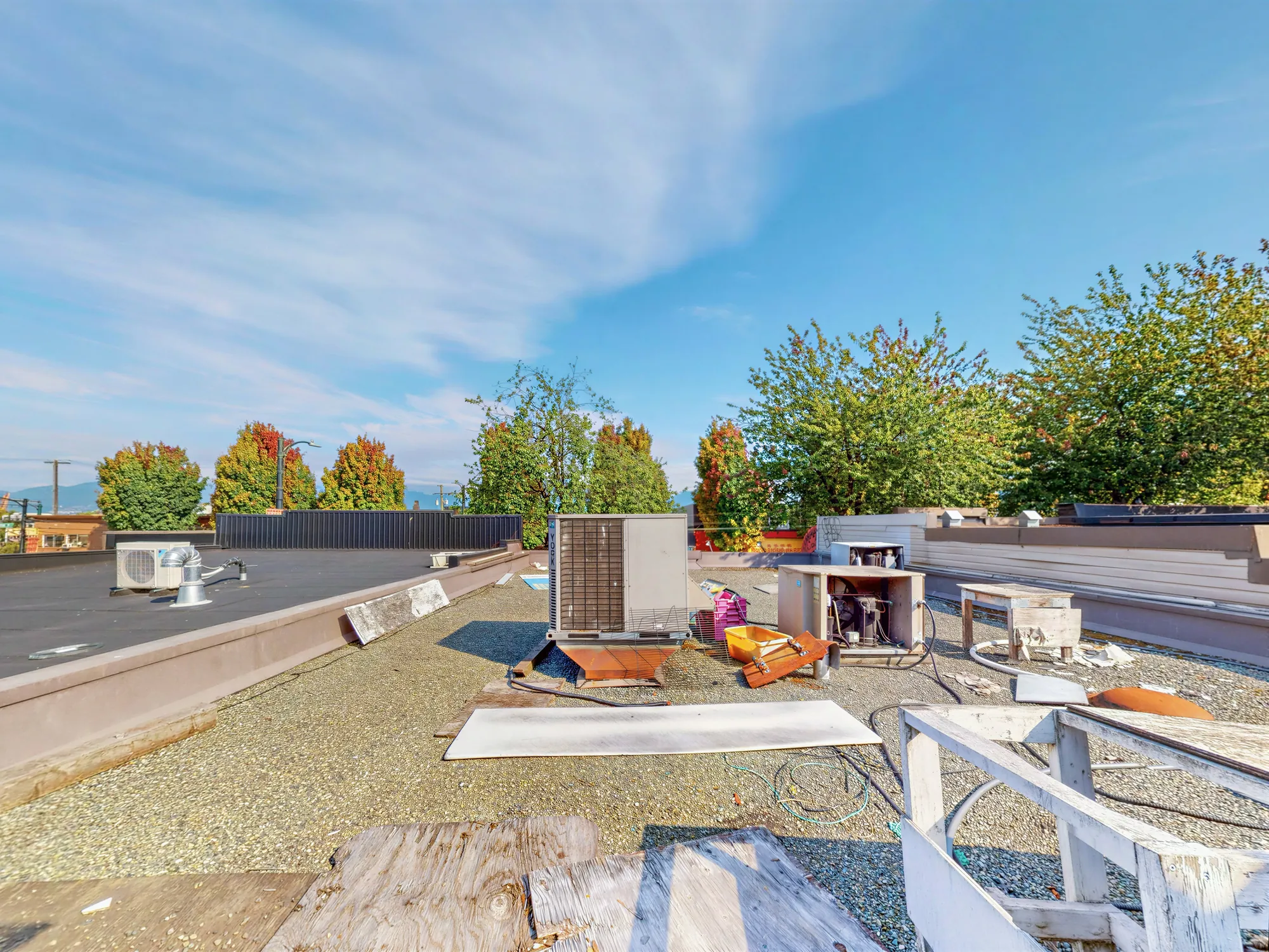 The flat roof looking across to the treetops and the water beyond